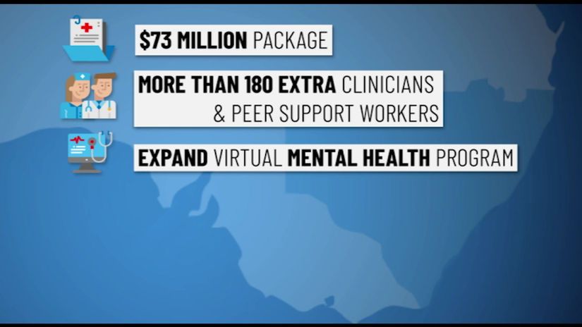 'Mental Health' Segment